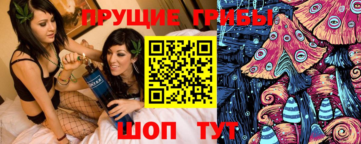 Псилоцибиновые грибы GOLDEN TEACHER Ярославль