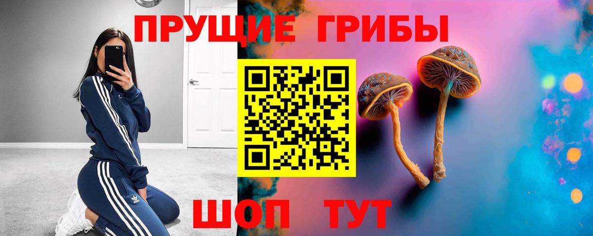 Псилоцибиновые грибы мухоморы  Вход с VPN  Ярославль  Псилоцибиновые грибы мухоморы 